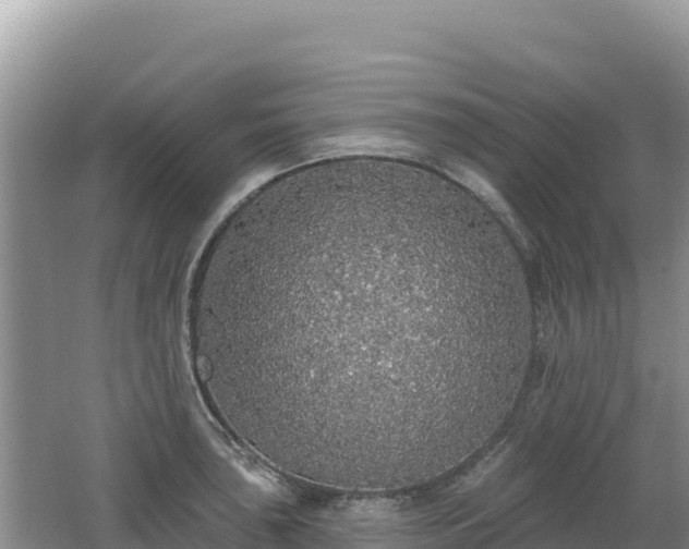 X0000062141043200512121236