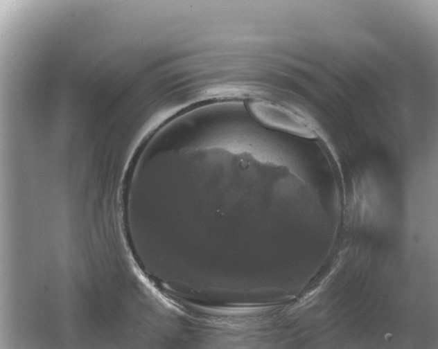 X0000062141045200512121236