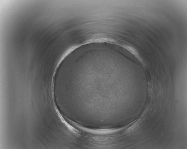 X0000062141046200512121236