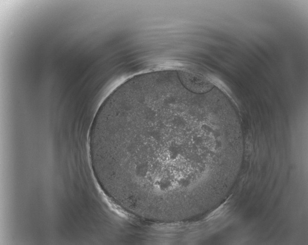 X0000062141047200512121236