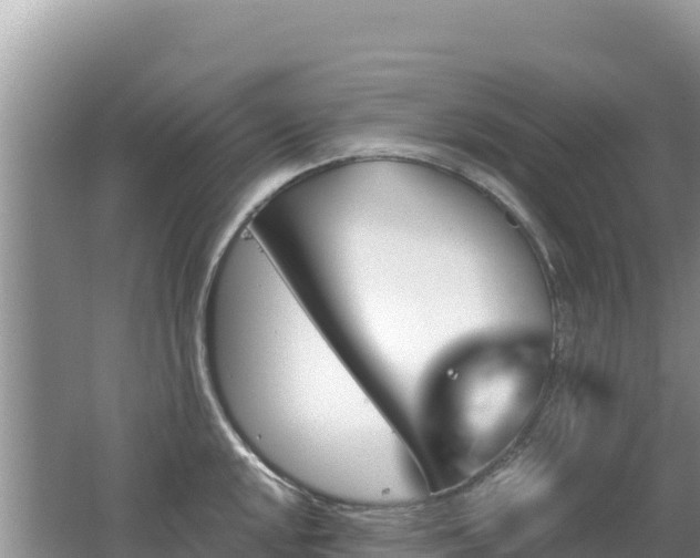 X0000062141048200512121236