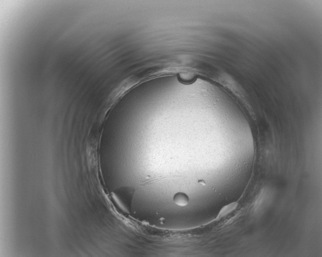 X0000062141049200512121236