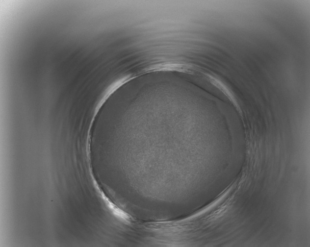 X0000062141050200512121236