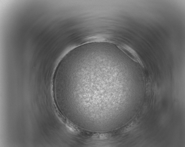 X0000062141051200512121236