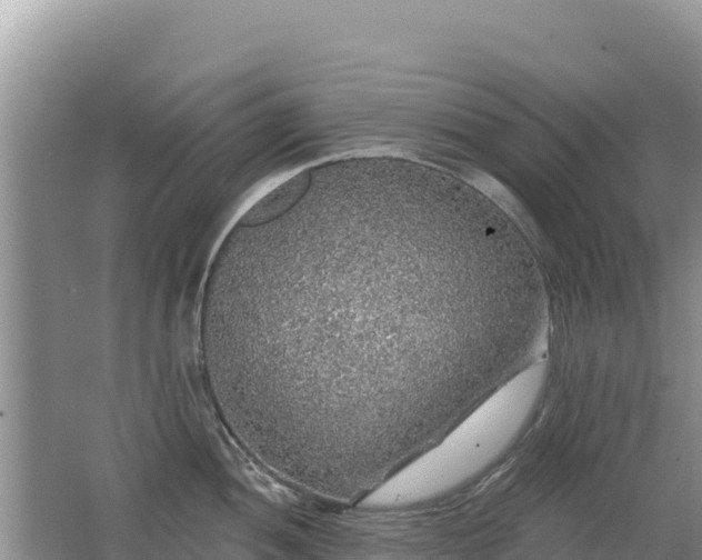 X0000062141052200512121236