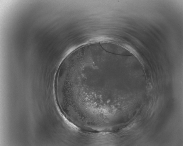 X0000062141055200512121236