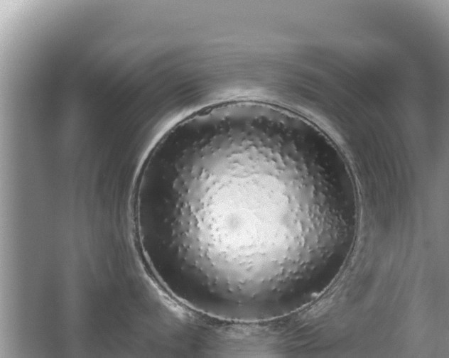 X0000062141056200512121236