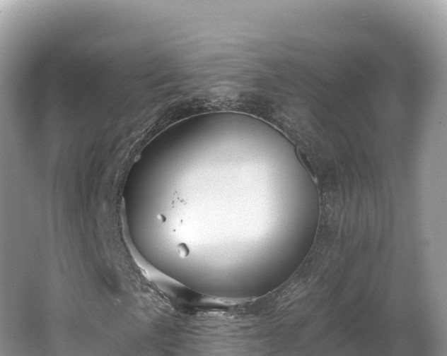 X0000062141057200512121236