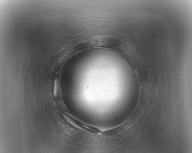 X0000062141058200512121236