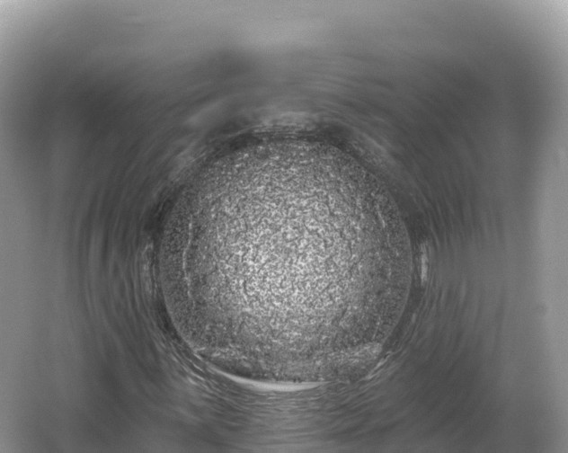 X0000062141059200512121236