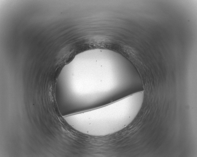 X0000062141060200512121236