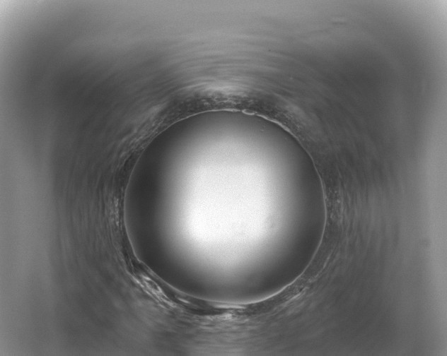 X0000062141061200512121236