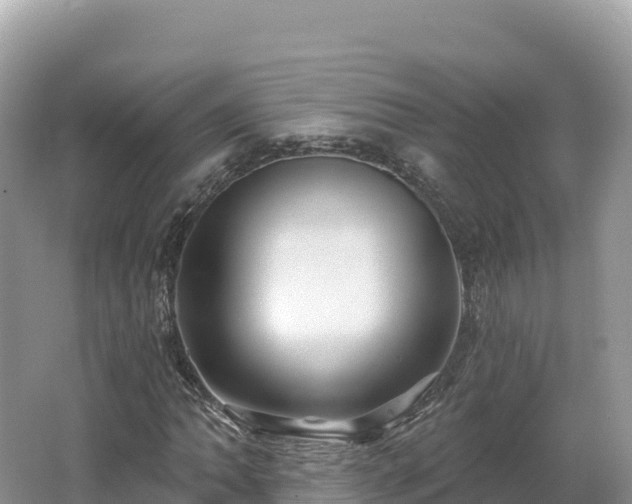 X0000062141062200512121235