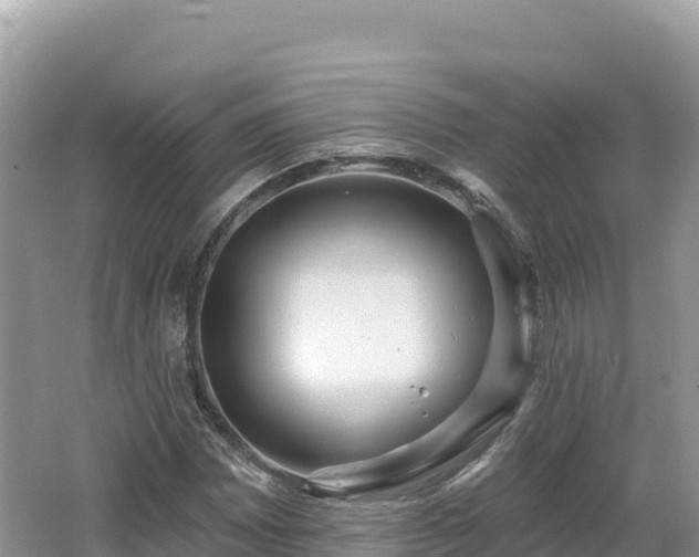 X0000062141065200512121235