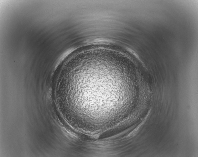 X0000062141066200512121235