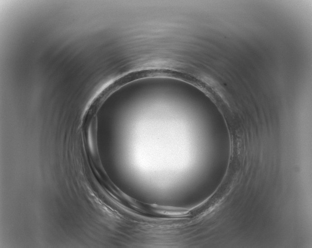 X0000062141069200512121235