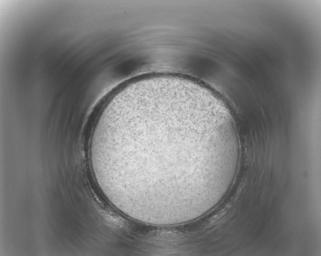 X0000062141070200512121235