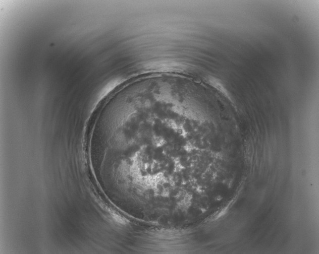 X0000062141071200512121235