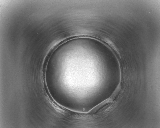 X0000062141072200512121235