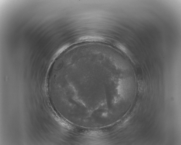 X0000062141074200512121235