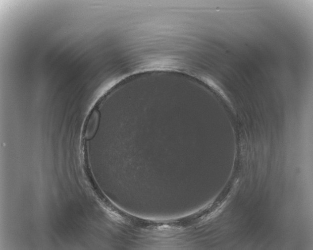 X0000062141077200512121235