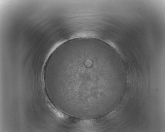 X0000062141078200512121235