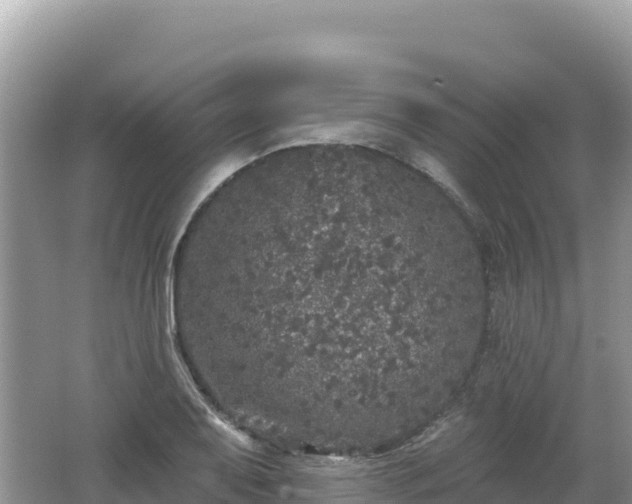 X0000062141079200512121235