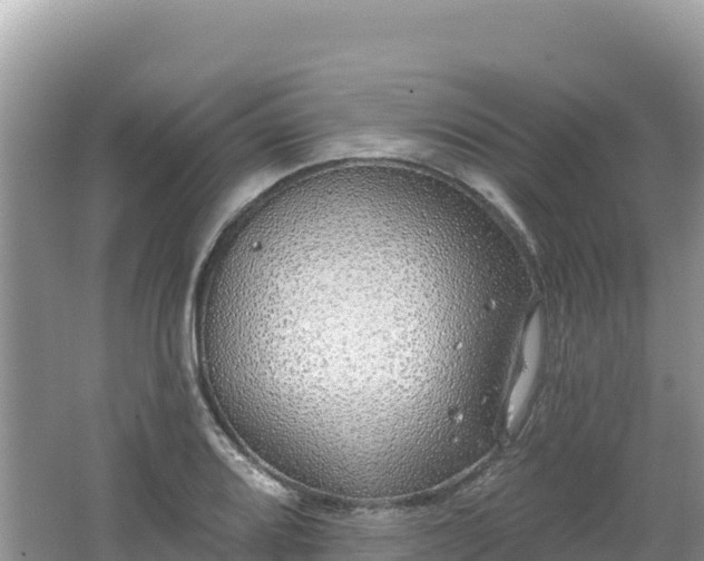 X0000062141080200512121235