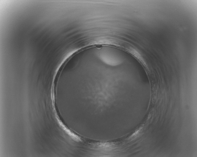 X0000062141084200512121235