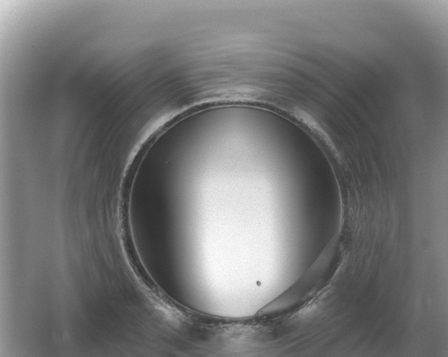 X0000062141085200512121235