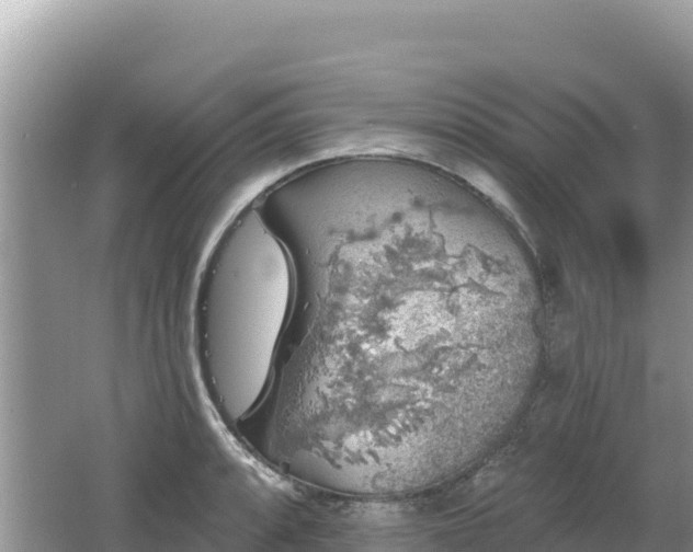 X0000062141088200512121235