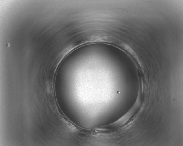 X0000062141089200512121235