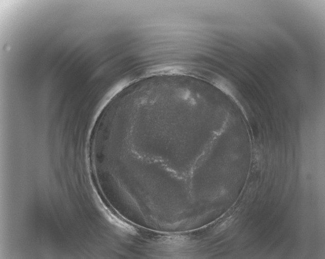 X0000062141090200512121235