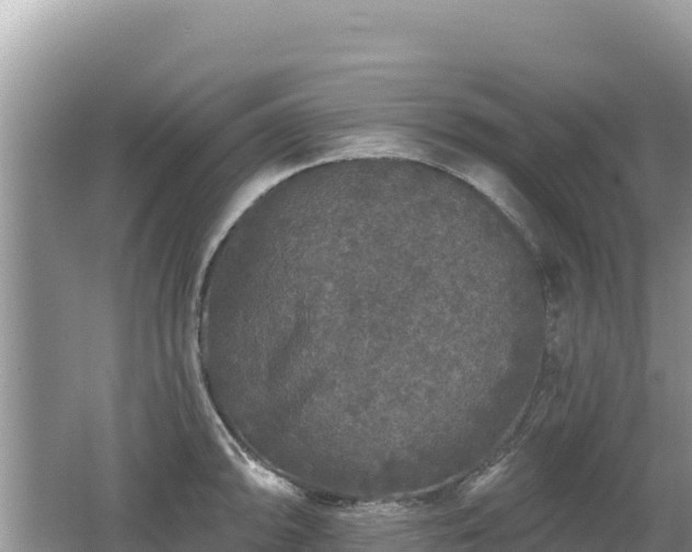 X0000062141094200512121235