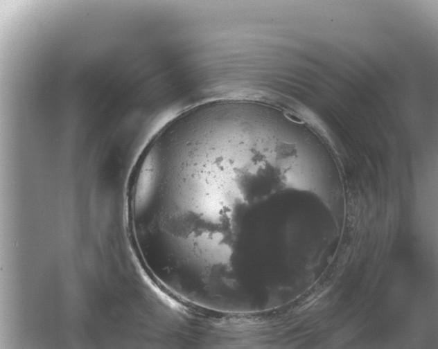 X0000062141095200512121235