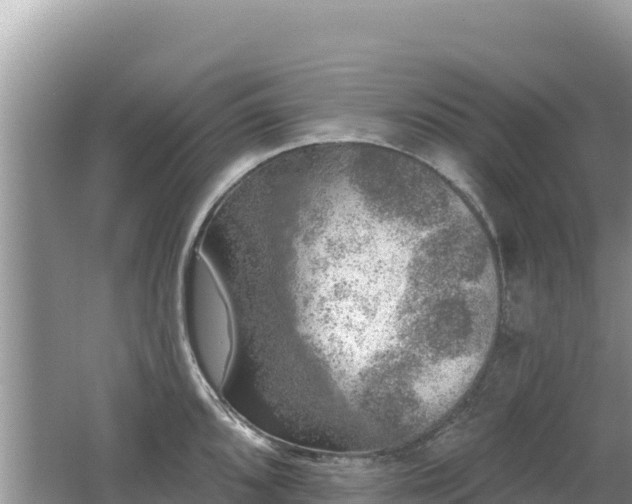 X0000062141096200512121235