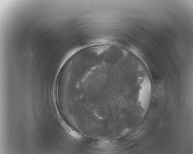 X0000062141098200512121235