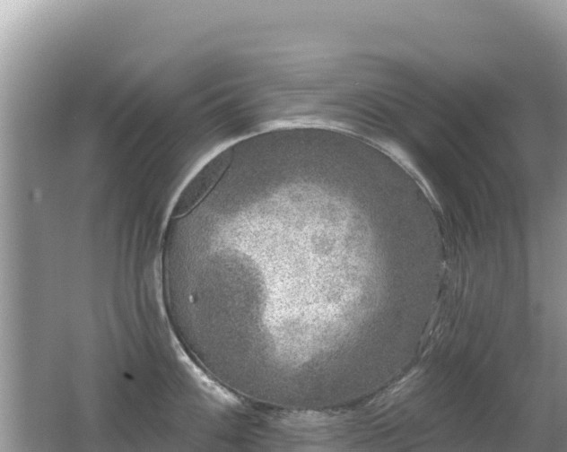 X0000062141100200512121235