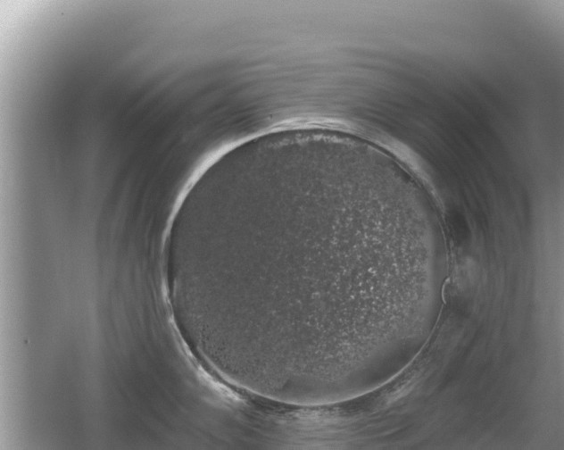 X0000062141102200512121235