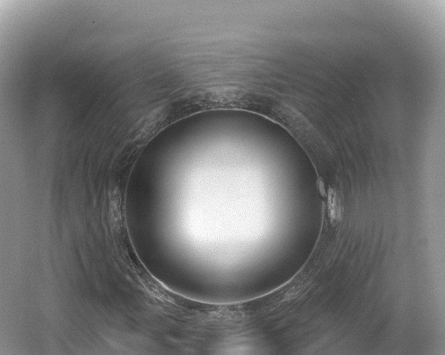 X0000062141107200512121234