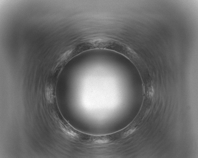 X0000062141108200512121234