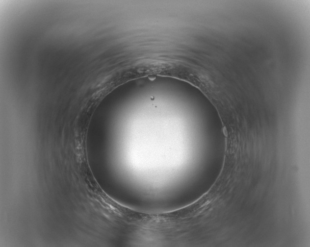 X0000062141109200512121234