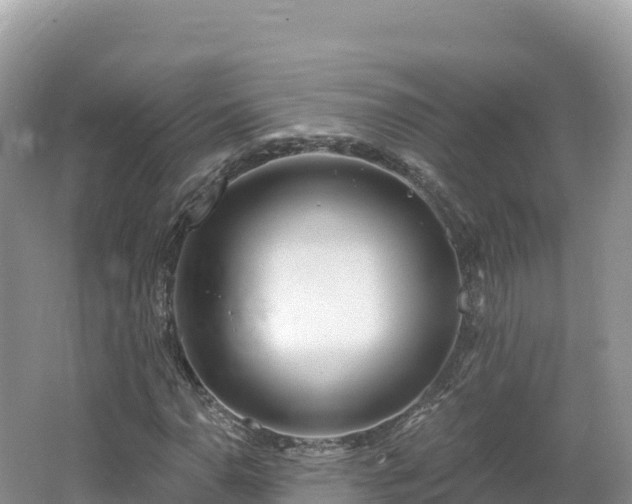 X0000062141110200512121234