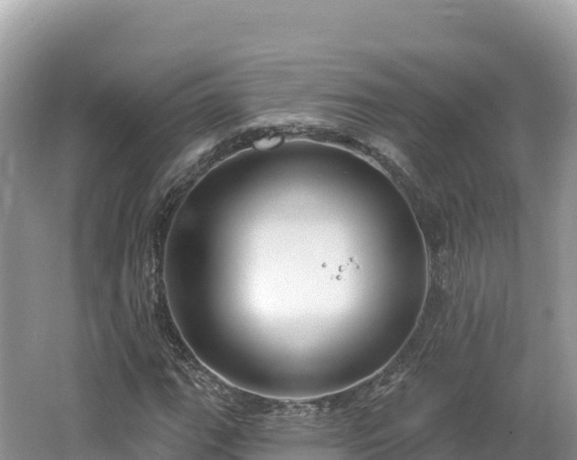 X0000062141111200512121234