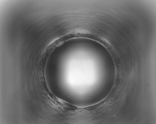 X0000062141112200512121234