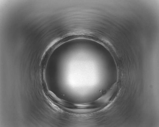 X0000062141114200512121234