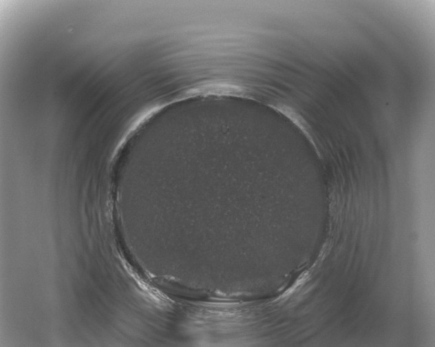 X0000062141115200512121234