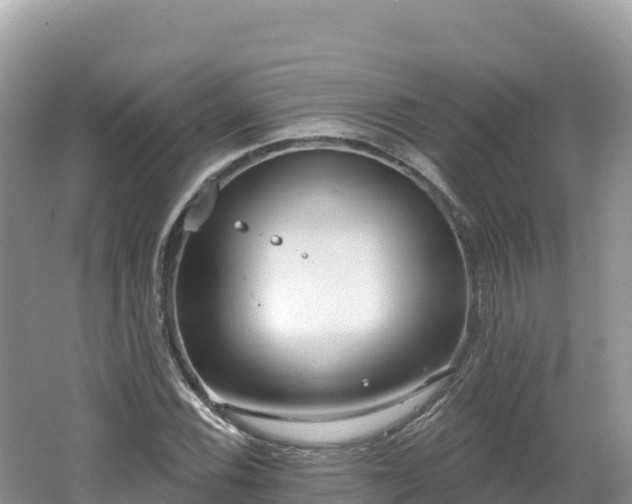 X0000062141116200512121234