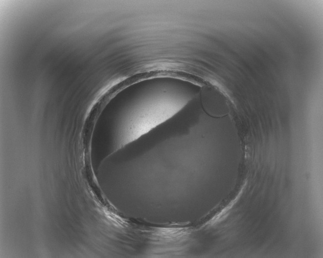 X0000062141117200512121234