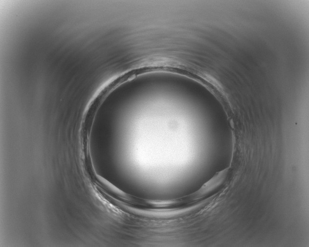 X0000062141120200512121234